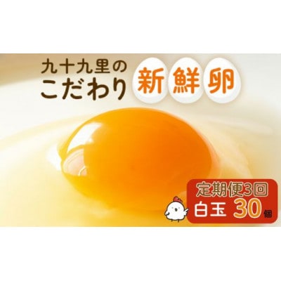 【毎月定期便】九十九里ファームこだわりたまご贈答用30個～あおい海・みどりの里～《白玉》全3回