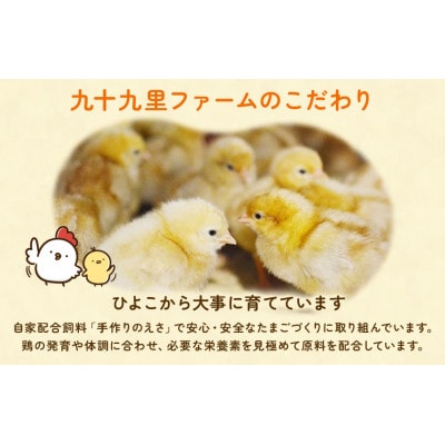 【毎月定期便】九十九里ファームこだわりたまご贈答用30個～あおい海・みどりの里～《白玉》全9回