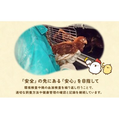 【毎月定期便】九十九里ファームこだわりたまご贈答用30個～あおい海・みどりの里～《白玉》全12回