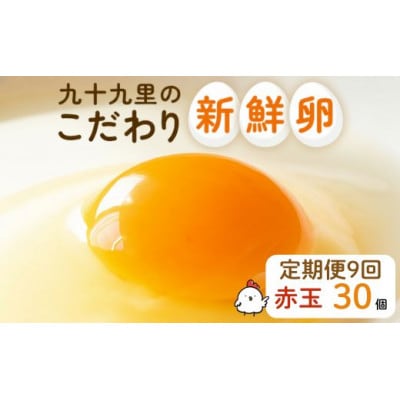 【毎月定期便】九十九里ファームこだわりたまご贈答用30個～あおい海・みどりの里～《赤玉》全9回