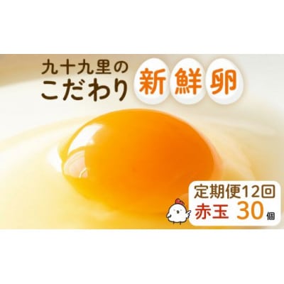 【毎月定期便】九十九里ファームこだわりたまご贈答用30個～あおい海・みどりの里～《赤玉》全12回