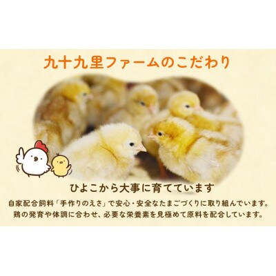 【毎月定期便】九十九里ファームこだわりたまご贈答用30個～あおい海・みどりの里～《赤玉》全12回