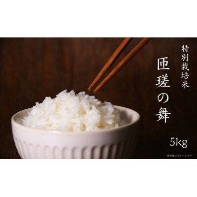 匝瑳の舞　精米　5kg　D-1a