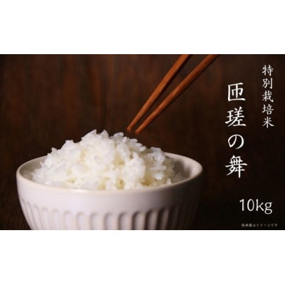 匝瑳の舞　精米　10kg(5kg×2)　D-2a