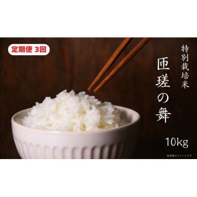 【毎月定期便】匝瑳の舞　精米　10kg全3回