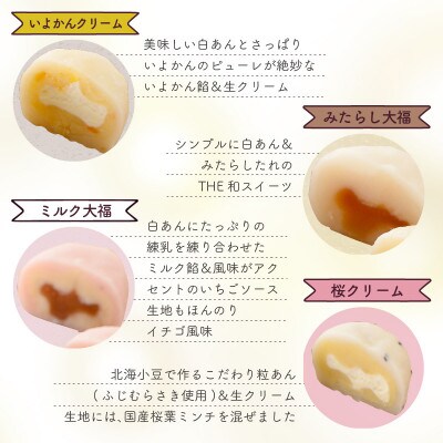 豊穣庵のクリーム大福アソート20P