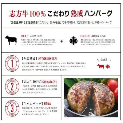 【国産】志方牛100%のこだわり熟成ハンバーグ150g×4個