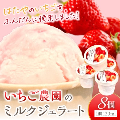 いちご農園のいちごミルクジェラート　8個セット