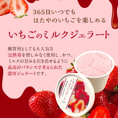 いちご農園のいちごミルクジェラート　8個セット