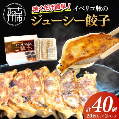 大西食品「イベリコ豚のジューシー餃子」