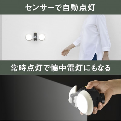 RITEX ASL-092 LEDどこでもセンサーライトダブル