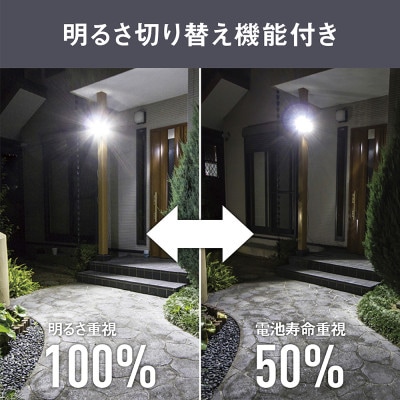 RITEX S-330L 5W×3灯 フリーアーム式LEDソーラーセンサーライト
