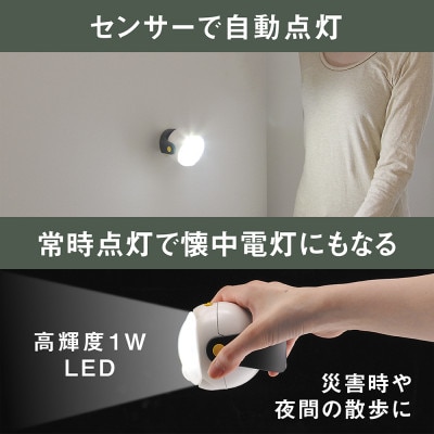 RITEX ASL-090 LEDどこでもセンサーライト