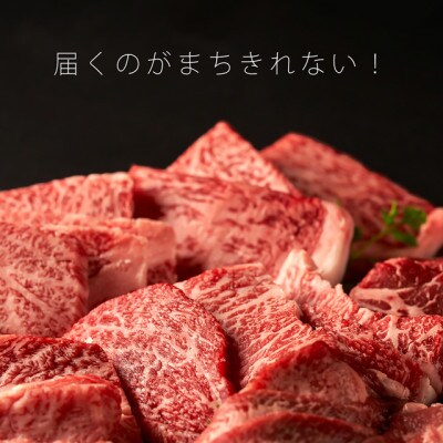 志方牛　6点食べ比べ　焼肉　600g(100g×6種)　黒毛和牛