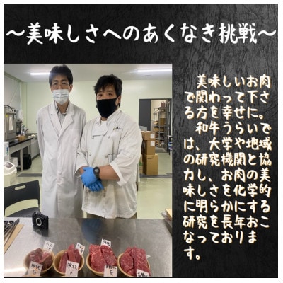 【肉のまち　かこがわ】熟練職人の技術と目利き　黒毛和牛雌牛　A4厚切りサーロインステーキ　500g