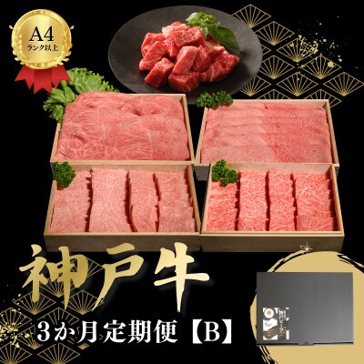 【毎月定期便】3か月定期便B全3回
