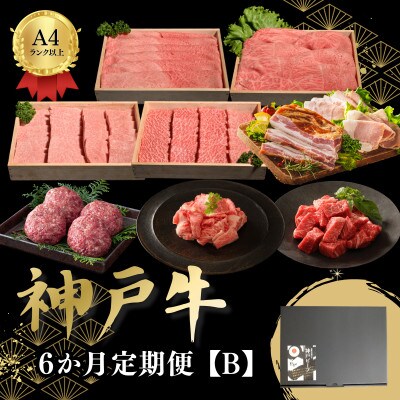 【毎月定期便】6か月定期便B全6回