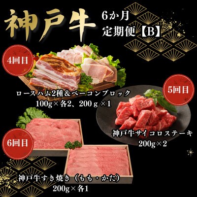 【毎月定期便】6か月定期便B全6回