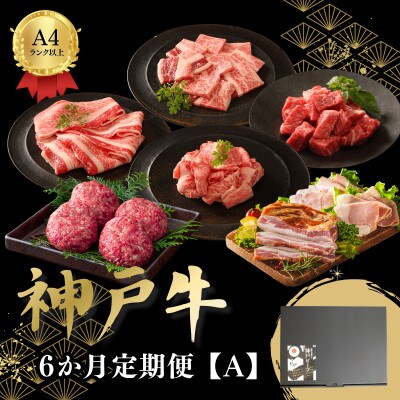 【毎月定期便】6か月定期便A全6回