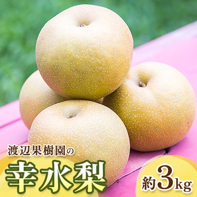 渡辺果樹園の幸水梨　約3kg【8月中旬～9月上旬にお届け】