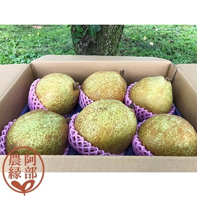 阿部農縁　大玉洋梨ゼネラルレクラーク3Kg(6個～8個)