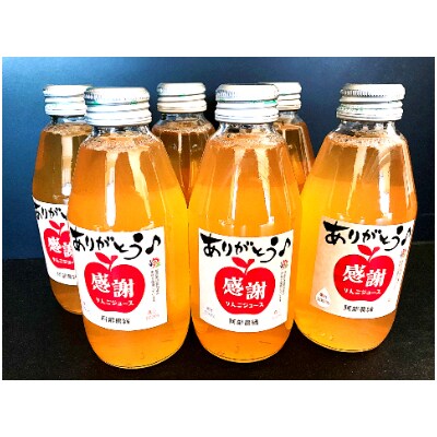 阿部農縁　感謝りんごジュース6本ギフト箱入り　サンふじ無添加ストレート果汁100%　200ml×6本