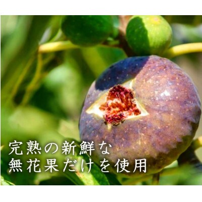 阿部農縁　いちじくのコンポート　200g×24本　福島県産イチジク使用