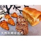 丸十製パン　もっちり食パン&素材にこだった手作りクロワッサン&具材ぎっしり贅沢カンパーニュ