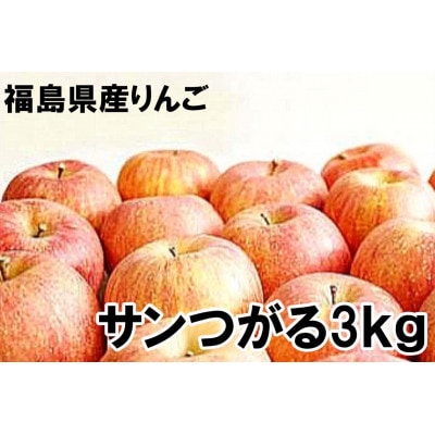 福島県のりんご　早生林檎サンつがる3kg(8～12玉)　ギフト・贈答用