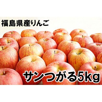 福島県のりんご　早生林檎サンつがる5kg(16～22玉)　ギフト・贈答用