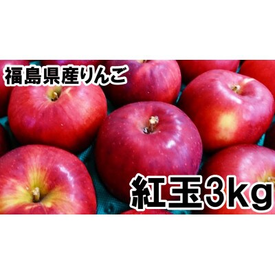 福島県のりんご　紅玉3kg(14～18玉)　ギフト・贈答用　アップルパイやジャムにもオススメ