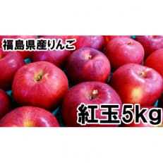 福島県のりんご 紅玉5kg(20～28玉) ギフト・贈答用 アップルパイやジャムにもオススメ