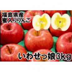 福島県のりんご いわせっ娘3kg蜜入り(8～12玉) ギフト・贈答用