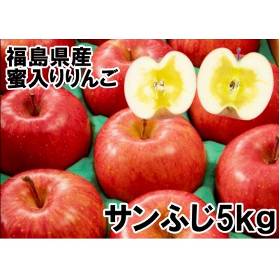 福島県のりんご　サンふじ5kg蜜入り(16～22玉)　ギフト・贈答用