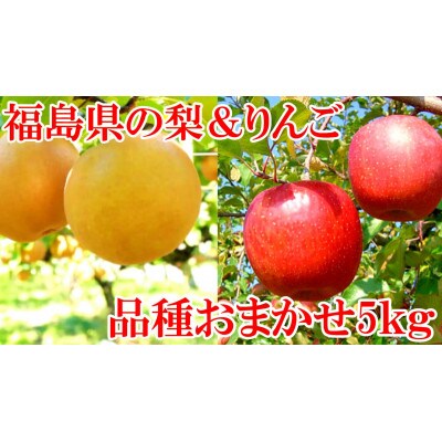 阿部農縁　福島県の和梨と林檎　りんごなし品種おまかせセット5kg　ギフト・贈答用