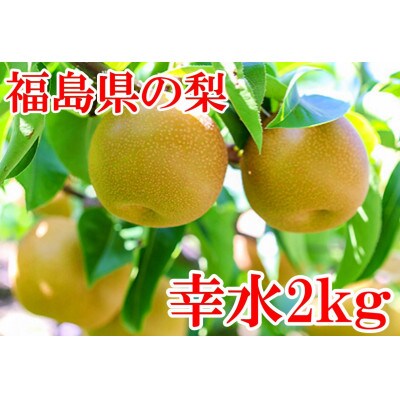 阿部農縁　福島県の和梨　甘くて水分豊富な旬のなし　幸水2kg(6～8玉)　ギフト・贈答用