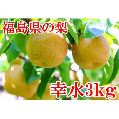 阿部農縁　福島県の和梨　甘くて水分豊富な旬のなし　幸水3kg(8～11玉)　ギフト・贈答用