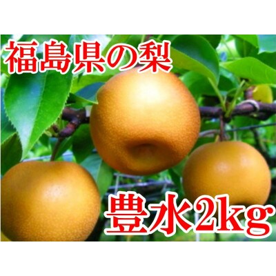 阿部農縁　福島県の和梨　甘さと程よい酸味が人気の旬のなし　豊水2kg(5～7玉)　ギフト・贈答用