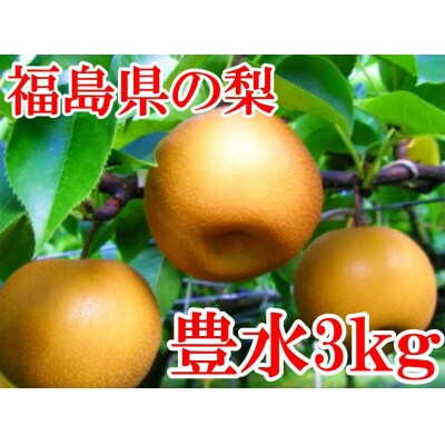 阿部農縁　福島県の和梨　甘さと程よい酸味が人気の旬のなし　豊水3kg(8～10玉)　ギフト・贈答用