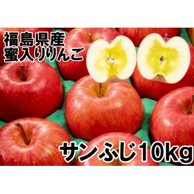 福島県のりんご　サンふじ10kg蜜入り(32～46玉)　ギフト・贈答用