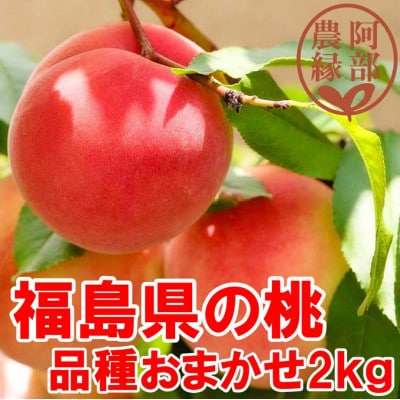 阿部農縁　福島県の桃　農家直送の完熟もも　品種おまかせ2kg(6～9玉)　ギフト・贈答用