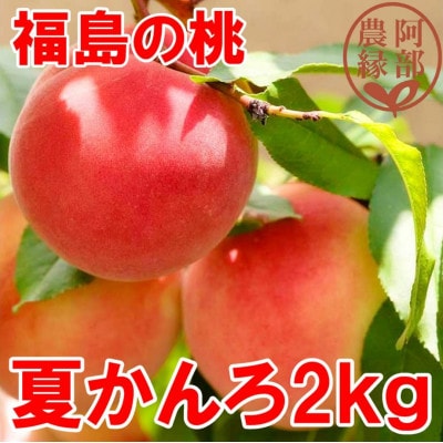 阿部農縁　福島の桃　夏かんろ2kg(8～9玉)　ギフト・贈答用　ふくしまの完熟もも
