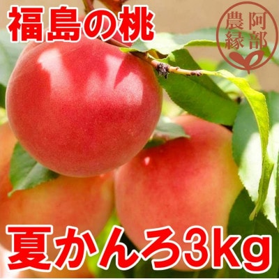 阿部農縁　福島の桃　夏かんろ3kg(10～12玉)　ギフト・贈答用　ふくしまの完熟もも