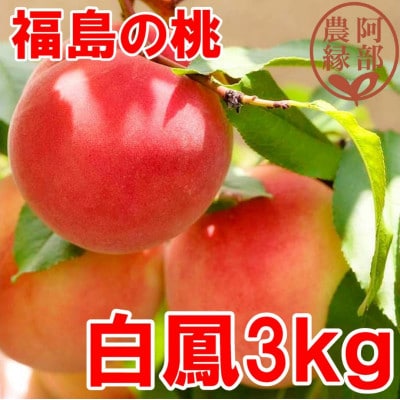 阿部農縁　福島の桃　白鳳3kg(8～12玉)　ギフト・贈答用　ふくしまの完熟もも