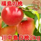 阿部農縁　福島の桃　川中島白桃2kg(6～9玉)　ギフト・贈答用　ふくしまの完熟もも