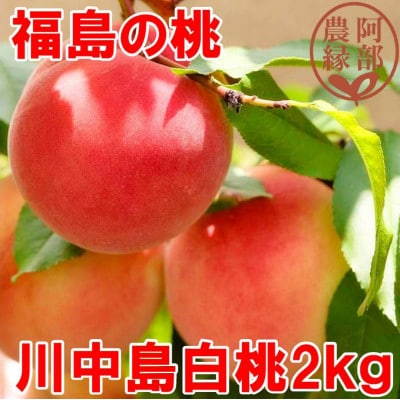 阿部農縁　福島の桃　川中島白桃2kg(6～9玉)　ギフト・贈答用　ふくしまの完熟もも