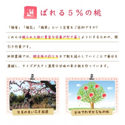 阿部農縁　福島の桃　川中島白桃2kg(6～9玉)　ギフト・贈答用　ふくしまの完熟もも