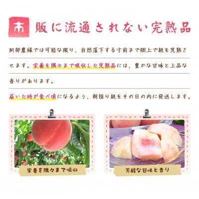 阿部農縁　福島の桃　川中島白桃2kg(6～9玉)　ギフト・贈答用　ふくしまの完熟もも