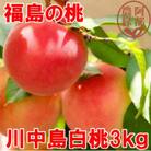 阿部農縁　福島の桃　川中島白桃3kg(8～12玉)　ギフト・贈答用　ふくしまの完熟もも