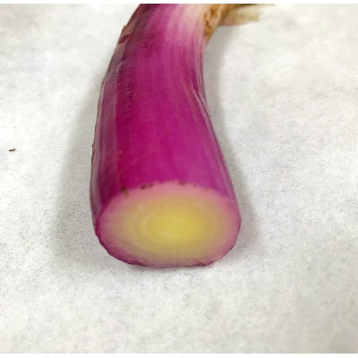 阿部農縁　明治から守る伝統野菜「曲がりネギ　赤」3kg